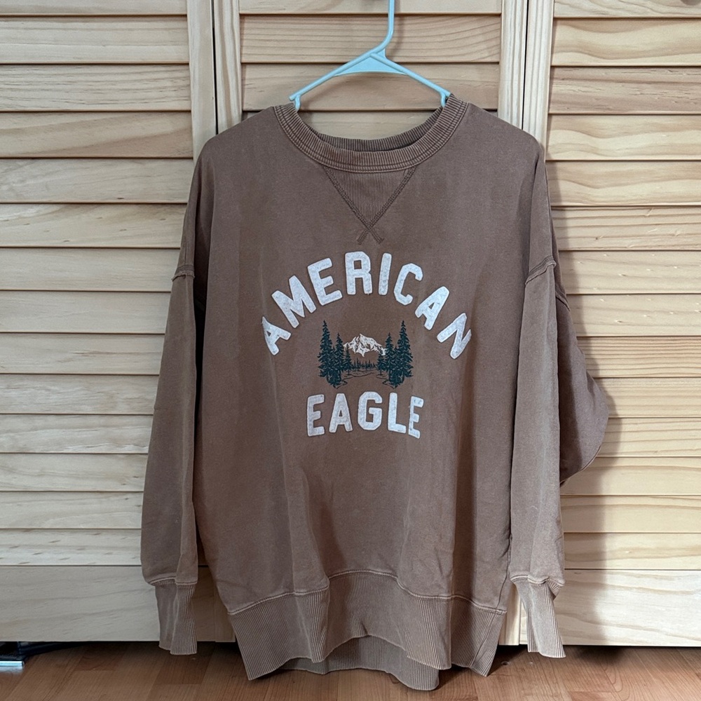 American Eagle Outfitters Brown Graphic Crewneck Sweatshirt